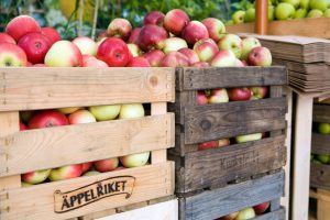 Kivik - Apfelmarkt im September