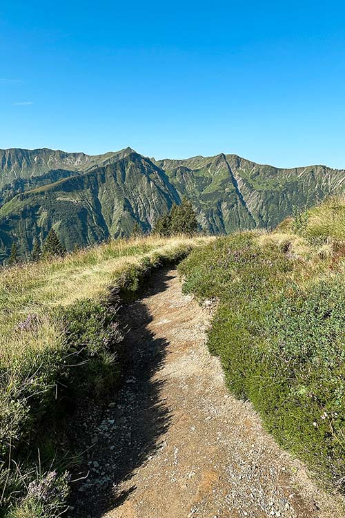 Landschaftsbild Dirk Hector
