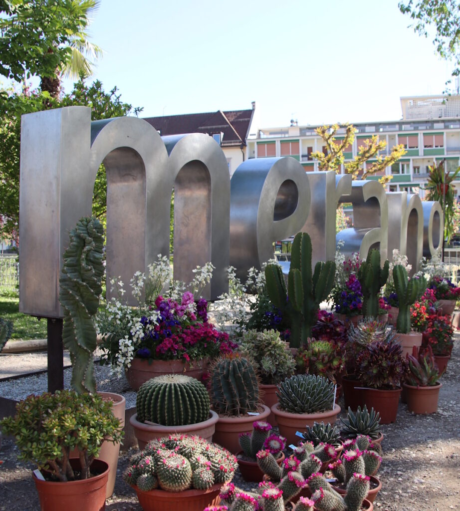 Schriftzug Merano mit Blumenmeer im Vordergrund