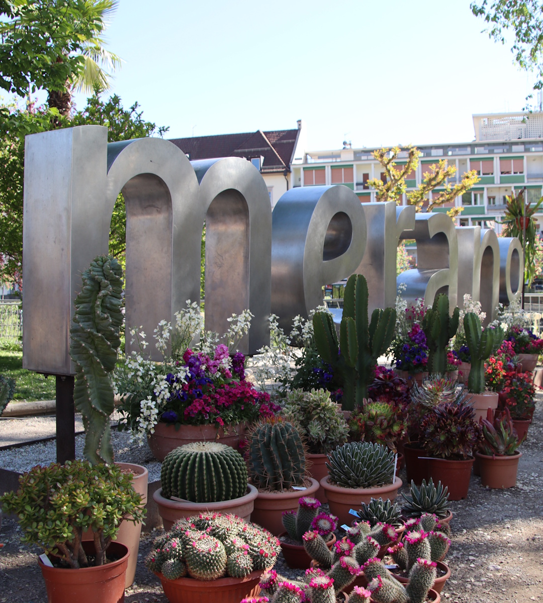 Schriftzug Merano mit Blumenmeer im Vordergrund